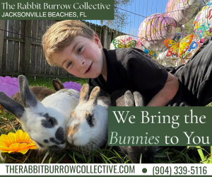 Rabbit Burrow Collective